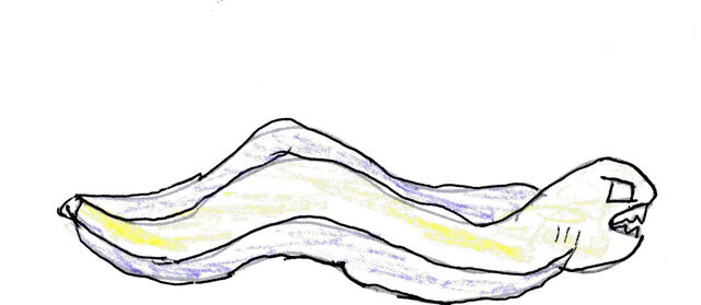 File:Img129.jpg