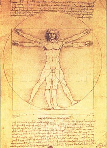 File:Human.jpg