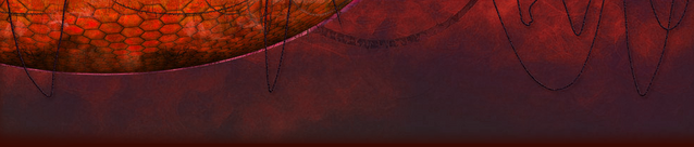 File:Top back.png