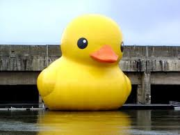 File:Rubber Duck.png