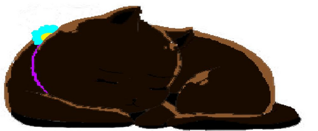 File:Serenicat.png