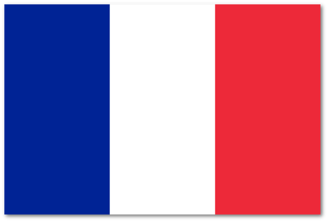 Plik:FrancjaFlaga.png