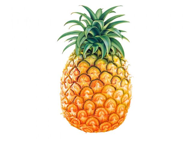 File:Pineapple.jpg