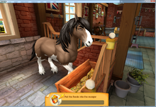Clydesdale Tier2 feed(inUKStable)