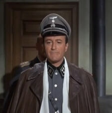 Majorhauser