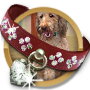 Doggone Dog Questline-icon