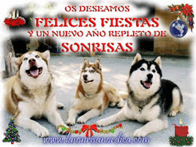 Archivo:Images.gif