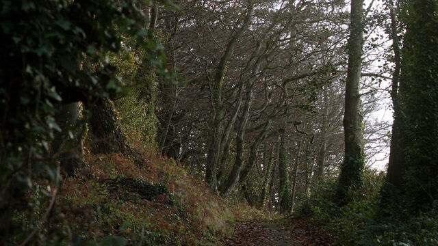 Archivo:Camino Alto HBO.jpg