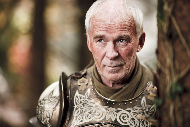 Archivo:Barristan Selmy HBO.jpg