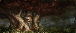 Weirwood by Arthur Bozonnet©.jpg