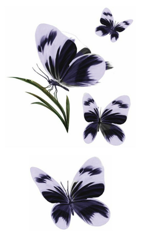 Archivo:Naath Butterflies by Arthur Bozonnet©.png