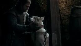 Ned y Dama.jpg