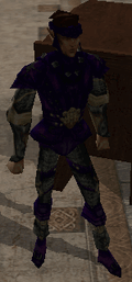 Elwynyd