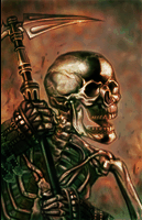 Skeletonport