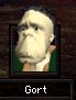 Gort
