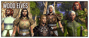 Spot race wood-elves