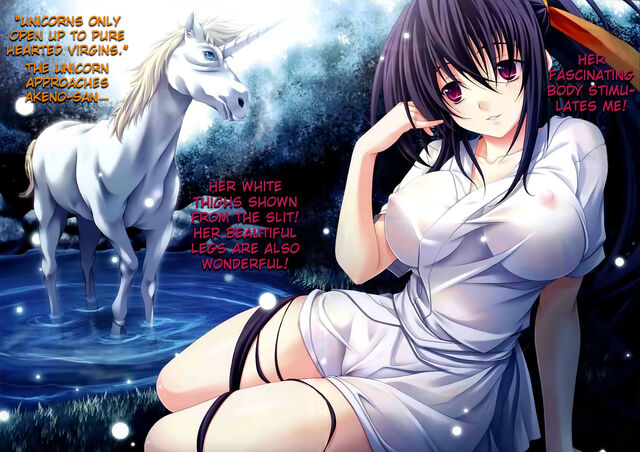 File:800px-High school dxd v8 c007-008.jpg
