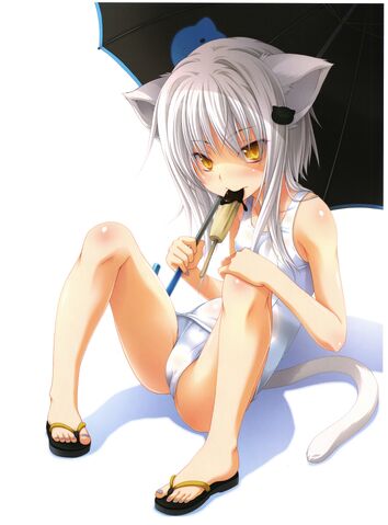 File:Beating the Heat.jpg