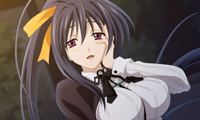 Datei:Akeno-Himejima-closeup.png