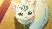 O-Chan