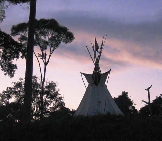 File:Hip DirkvdM tipi-1.jpg