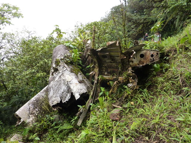 File:P1000388 scaled.jpg