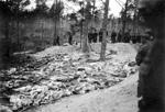 Katyn massacre 7.jpg