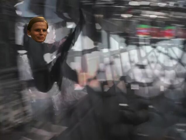File:Werner falls from window.jpg