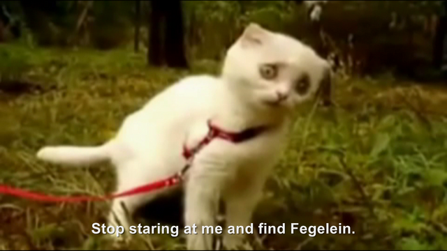 File:Hitler encounters WTF Kitty.png