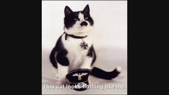 Hitler encounters Kitler