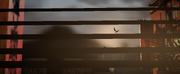 C47-OneYearLater.png