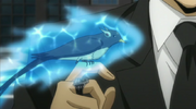 800px-Kojiro.png