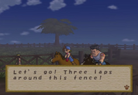 The Horse Race 4