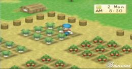 E3-2007-harvest-moon-boy-girl-shots-20070713000953800 640w