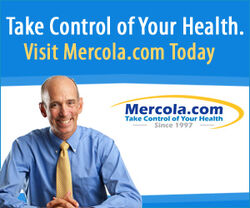 Mercolabanner-300x250.jpg