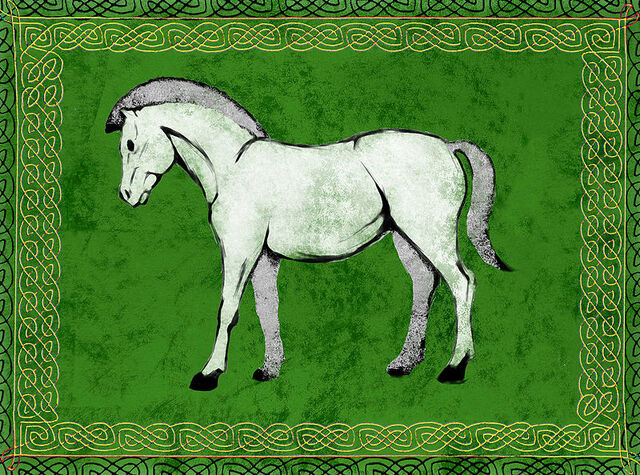 File:Cavallo bianco in campo verde.jpg