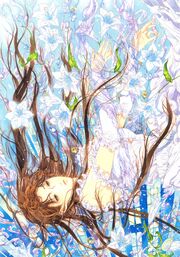 KasaiYuria