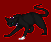 Scourge