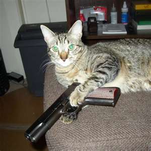 File:ThumbnailCAOAOSL8.jpg