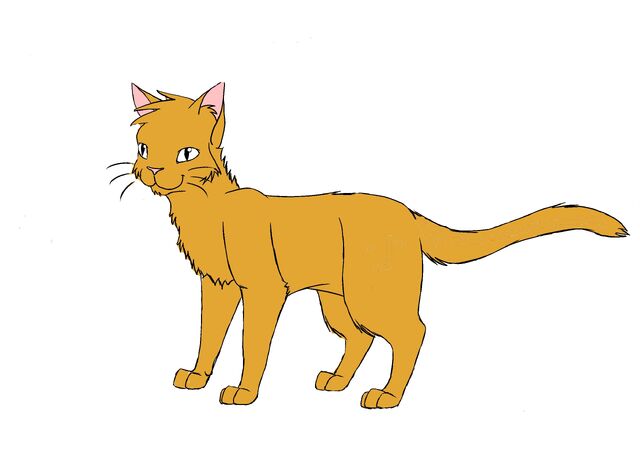 File:Browncat.jpg