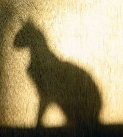 File:Shadow.jpg
