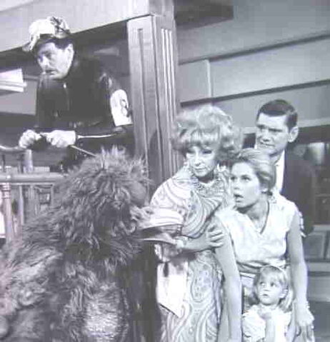 File:1964YORKDODO.jpg