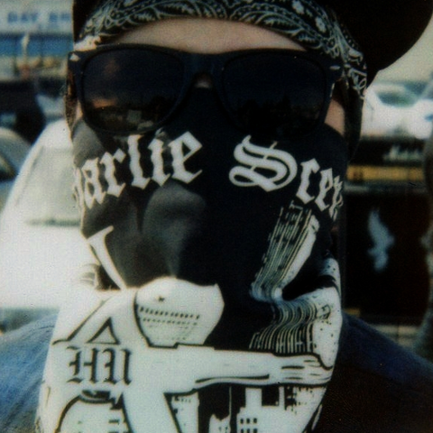 File:Charlie Scene DM mask.png