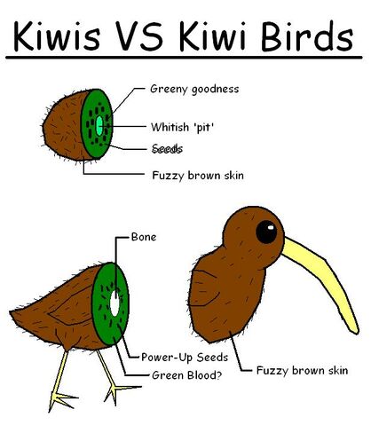 File:Kiwi VS Kiwi Bird by shibbynempahcold.jpg