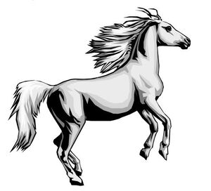 Horse
