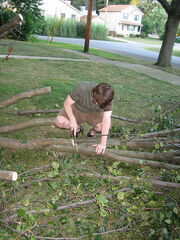 Hand saw