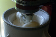 Homemade vanilla icecream