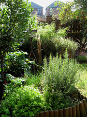 Green garden