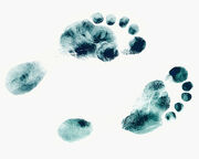 Footprints