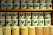 Green Shop Green Paints